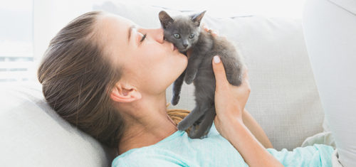 cats bad breath