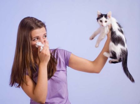 cats bad breath