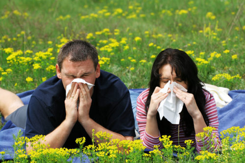 seasonal allergies